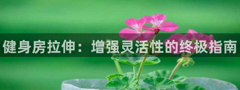 ag尊龙旗舰厅