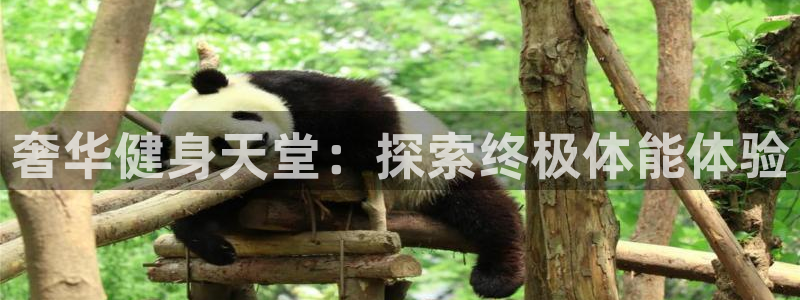 尊龙凯时网娱乐最新版